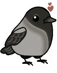 Bird Crow Sticker