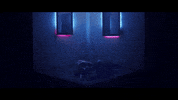 music video love GIF by Epitaph Records