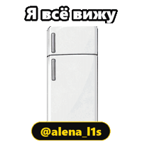 alenalisunova лисунова alenal1s холодильник Sticker
