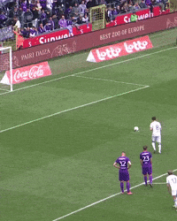 Tzolis GIF by Club Brugge