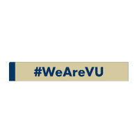 college lion Sticker by Vanguard University