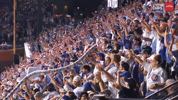 Chicago Cubs Baseball GIF