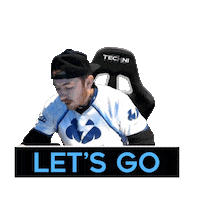 Games Twitch Sticker by TechniSport