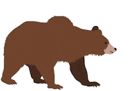 Bear Vienna Sticker by NHM Wien