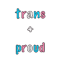 Pride Trans Sticker