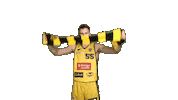 Basketball Koszykowka Sticker by Trefl Sopot