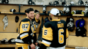 all access nhl GIF by SHOWTIME Sports