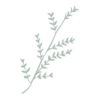 Plant Tree Sticker by HoselinkAus