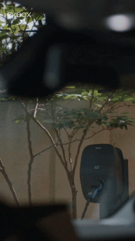 mavicmikept giphyupload GIF