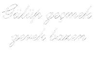 Morel Nefret Sticker