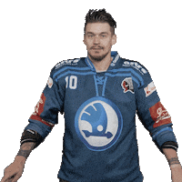 Hockey Swipe Up Sticker by HC Škoda Plzeň