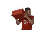 Bestow Fc Bayern Sticker by Bundesliga