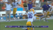 lsu tigers win GIF by Louisiana State University