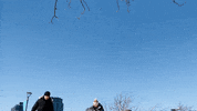 Martial Arts Win GIF by Casol