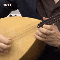 Poke Listen GIF by TRT