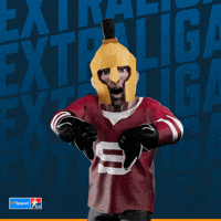 Hockey Spa GIF by Tipsport extraliga