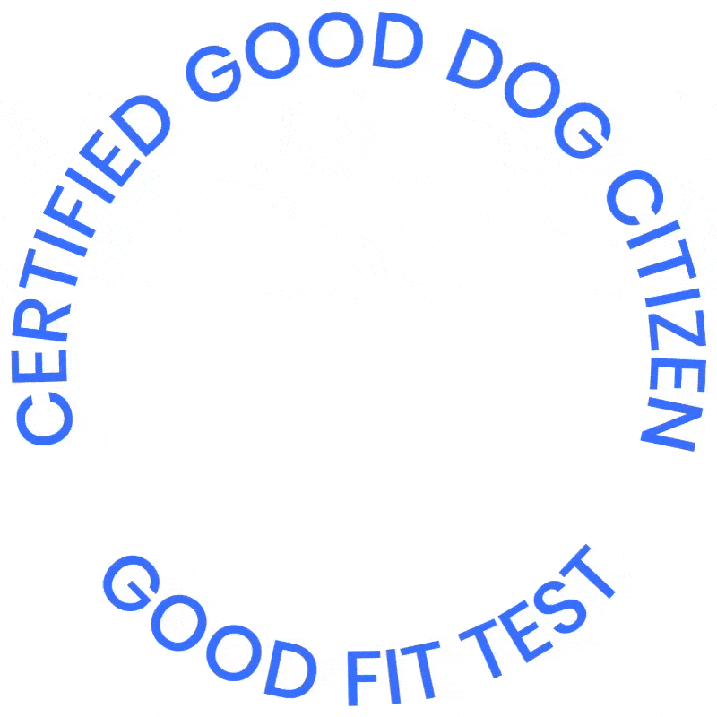 Dogdrop dogdrop good fit test GIF