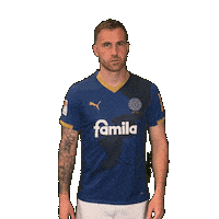 2 Bundesliga Football Sticker by Holstein Kiel