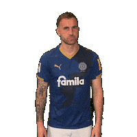 2 Bundesliga Football Sticker by Holstein Kiel