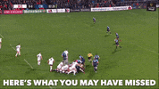 GIF by PRO14Official