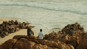 Surfing Hawaii GIF by 50statesproject