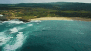 Surfing Hawaii GIF by 50statesproject