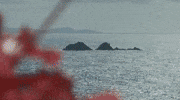 PapaSalt dance music party summer GIF