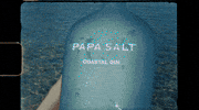 PapaSalt dance music party summer GIF