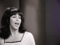 I Told You No GIF by Cher