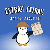 GIF by Pudgy Penguins