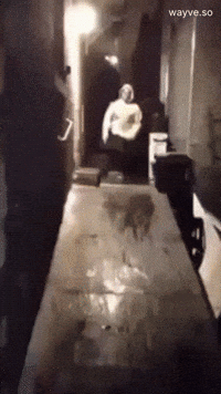 Mood Feels GIF by Darwin