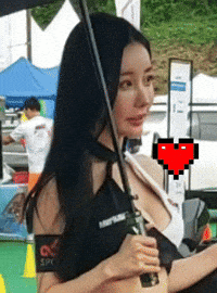 Model GIF