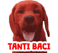 Dolce Bachi Sticker by Clifford Movie