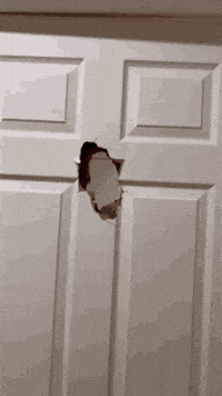 Break Door GIF