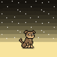 Good Vibes Space GIF by Doginal Dogs