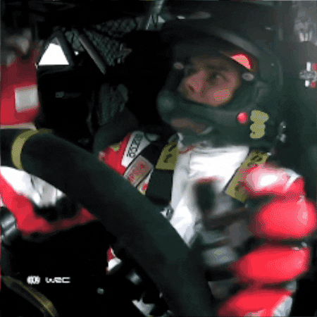 Scared Sport GIF by FIA World Rally Championship