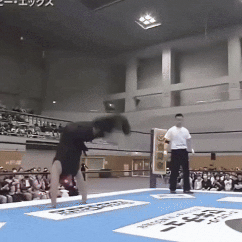 Wwe Win GIF by Respective