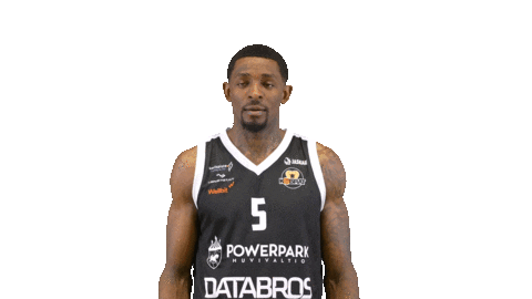 Sport Basketball Sticker by Basket_fi