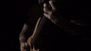 Break Up Rock GIF by Capstan