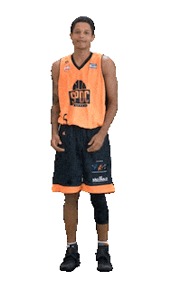 SPDC cbb wilson basquete basquetebol Sticker