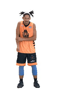 SPDC cbb wilson basquete basquetebol Sticker