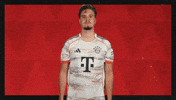 Fc Bayern Football GIF by Bundesliga