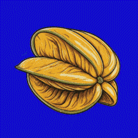 Comida Fruit GIF
