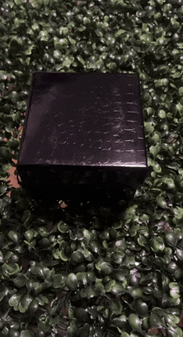 ciindymaiite giphyupload GIF