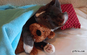 sleepy ball GIF