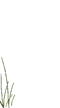 PTMD ptmd ptmd interior Sticker