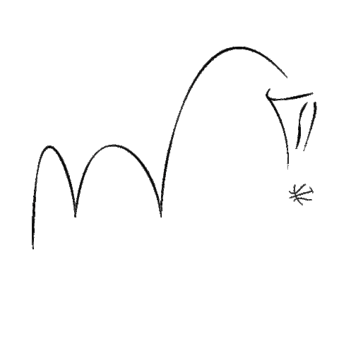 Sport Assist Sticker by Sasso Marconi FT LAB