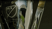 Mls Cup Football GIF by Major League Soccer
