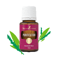 Yleo Essentialoil Sticker by YoungLiving HK