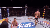 ufc 206 GIF